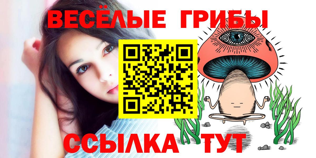 Псилоцибиновые грибы ЛСД  как найти закладки  Псилоцибиновые грибы GOLDEN TEACHER  Туапсе  Вход с VPN 